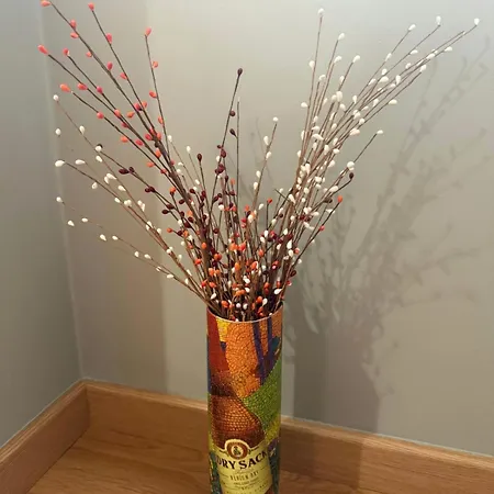 Turistico El Canalizo Ii *